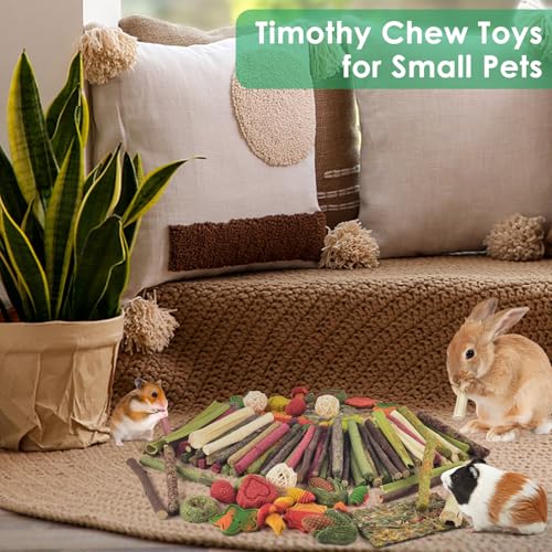 ERKOON 106PCS Bunny Chew Toys for Rabbits Teeth, Natural Rabbit Toys Apple Wood Sticks, Carrot, Timothy Grass Treats for Small Pets, Hamster, Chinchilla, Guinea Pig Dental Care and Treat Teething Toys - size: 106