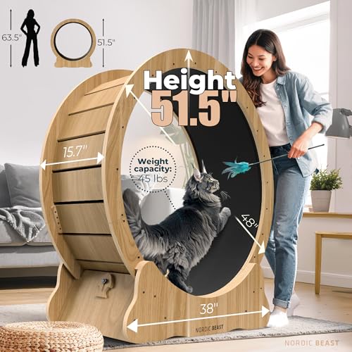 Walnut Wood 48'' XL Cat Wheel - Cat Wheels for Indoor Cats Which Doesn't Negatively Affect Your Cat's Spine - 15.7'' Extra Wide Walnut Exercise Wheel - Fits 2 Cats Side-by-Side, 1-Year Warranty - color: Walnut