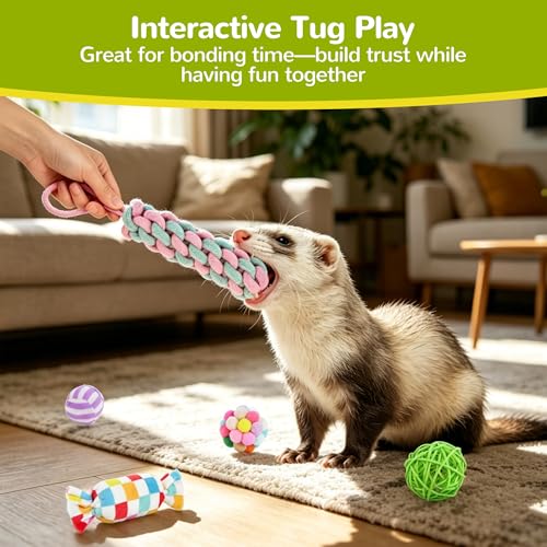 20 Pack Ferret Toys, Ferret Chew Toys, Interactive Toys with Bells | Bell Balls, Sound Toys, Plush Chew Toys, Interactive Play Accessories, Small Animal Enrichment