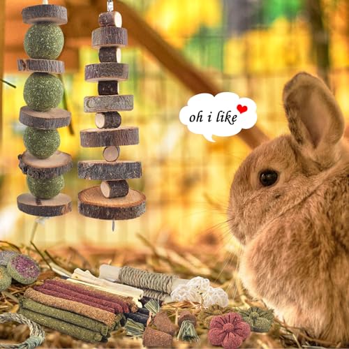 ERKOON 70PCS Rabbit Chew Toys, Natural Timothy Grass Cakes Guinea Pig Toys, Small Animal Teeth Grinding Treats for Bunny Hamster Chinchilla, Safe Dental Care Snacks - size: 70