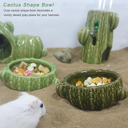 2 Pack Green Cactus Ceramic Hamster Food Bowl Anti-Tip Water Dish | Durable & Heavy Duty Ceramic Feeding Drinking Bowl for Gerbil Mouse Chinchilla Hedgehog Guinea Pig, Cute Desert Cactus Decor