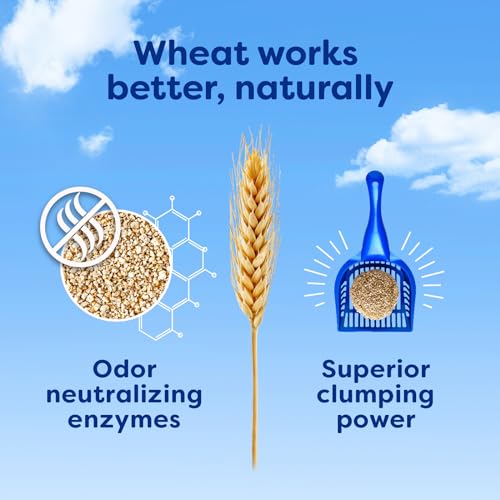 sWheat Scoop Natural Wheat Multi-Cat Litter, Superior Clumping with Odor Neutralizing Enzymes, 25 Pound Bag