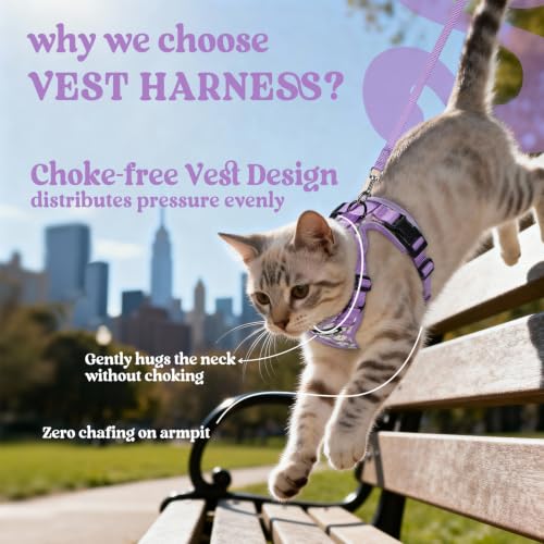 rabbitgoo Cat Harness and Leash Set, Escape Proof Vest, Purr-ple Daisy | Soft Breathable Mesh, Easy Adjustable Fit, Snap Buckles, Sturdy Clip, Reflective Strips, for Kittens & Small Cats Walks, Xxs - color: Purr-ple Daisy, size: Xxs