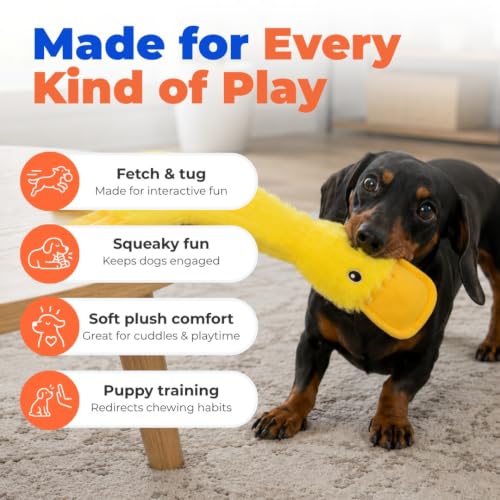 Best Pet Supplies Interactive Squeaky Dog Toy - Crinkle Duck, Yellow | Stuffing Free Body, Soft, Squeaks & Crinkles, No Mess, Perfect for Moderate Chewers, Toss and Fetch Play - color: Crinkle Duck (Yellow), size: Large