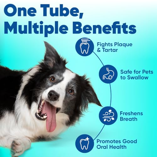 C.E.T. Enzymatic Toothpaste for Dogs and Cats, Poultry, 2.5oz | Plaque and tartar control for fresh breath, pet dental care toothpaste, Dual enzyme system, poultry flavored toothpaste - size: 2.5 Ounce (Pack of 1)