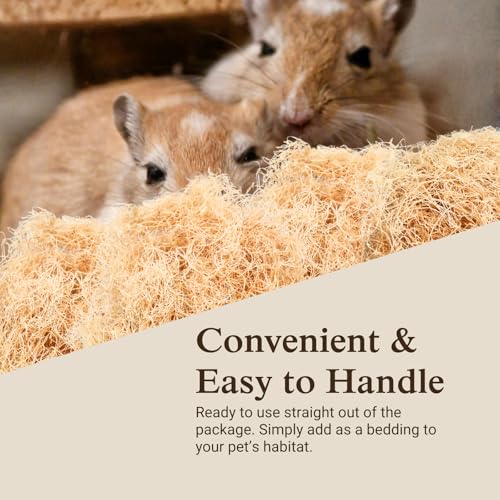 Aspen Wood Excelsior, Fine Cut, Small 2-Pack | Natural Aspen Wood Excelsior for Crafts & Animal Bedding, Cages, Soft & Absorbent, Dye-Free, Family Owned, USA Made
