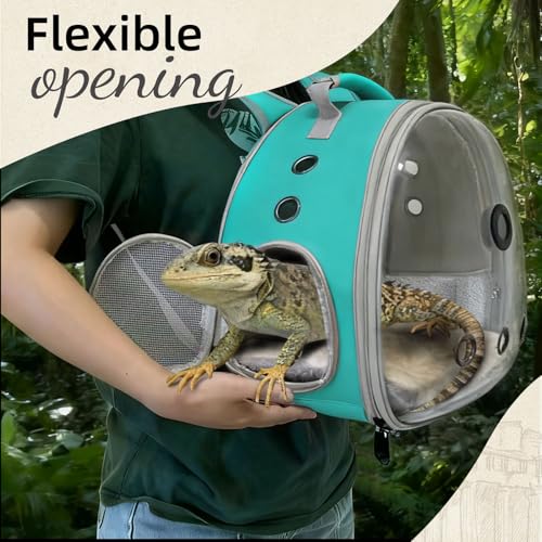 Reptile Travel Backpack Carrier with Reptile Thermometer and Humidity Gauge & Harness Leash Lizard Travel Cage Space Capsule Clear Bubble Window Astronaut Bearded Dragon Bag for Ball Python - color: Green