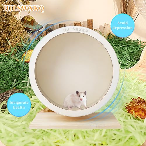 6.6in Silent Hamster Wheel with Removable Track(6.6in) | Wooden Exercise Wheel with 2 Natural Chew Toys, Quiet Spinner for Gerbils, Mice, Hamsters,Mouse,Syrian Hamster - size: 6.6in