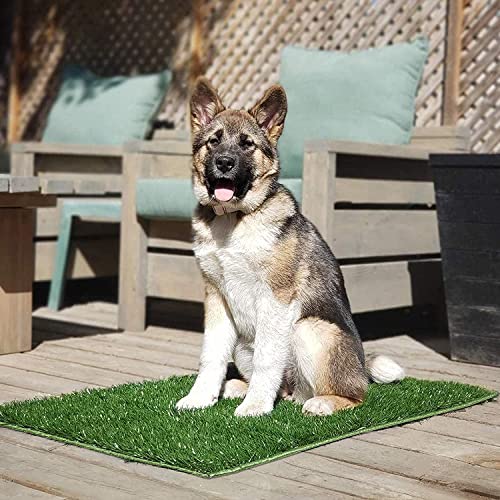 Hompet Dog Grass Pads, Puppy Turf Potty Training Pads, Artificial Turf for Dog Systems Replacement Grass Mats, Easy to Clean with Fast Drain Holes, Indoor/Outdoor Garden Lawn Patio Balcony 28"×18" - size: 28" x 18" (2-Pack)