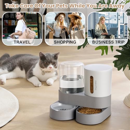 2 Pack Automatic Cat Feeder Stainless Steel Water Dispenser Gravity Food Feeder and Waterer Set with Pet Food Bowl for Small Medium Kitten Puppy Pets Large Capacity(Grey) - color: Grey
