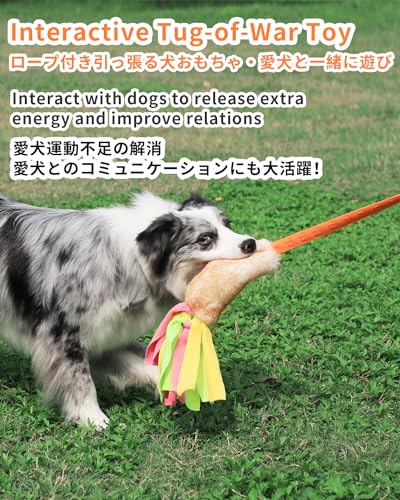SCHITEC Dog Tug Toy, Bungee Tug of War Rope Toys with Squeaky Sound for Exercise & Interactive Play Games, Puppy Training Pull Toy for Small Medium Large Dogs - style: Artificial Wool+Short Handle