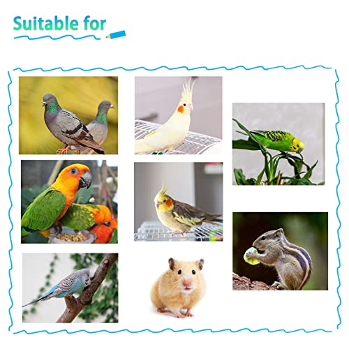 kathson Parrot Feeding Dish Cups,Stainless Steel Bird Food Water Bowl Parakeet Feeder Birds Cage Ball Toys with Clamp Holder for Cockatiel Macaw Budgies Small Animal Chinchilla (7 Pcs) - size: 【M:4.7x2.2 Inches】