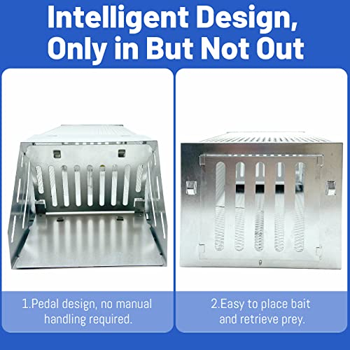 Humane Rat Trap, Automatic Cycle Mouse Trap, No Kill Live Mouse Catch, Mice Trap Cage for Indoor and Outdoor Small Animal - Mouse Voles Hamsters Live Cage Catch and Release (Rat Trap B) - style: Rat Trap B