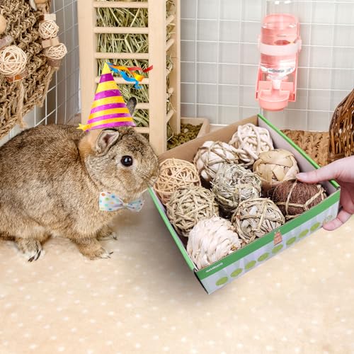 andwe Small Animals Play Balls Rolling Chew Toys & Gnawing Treats for Rabbits Guinea Pigs Chinchilla Bunny Degus - Pet Cage Entertainment Accessories (Pack of 9) - size: Pack of 9