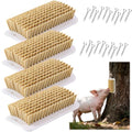 4 Pcs Pet Enrichment Toy, Pet Grooming Brush & Scratch Toy 2-in-1 for Mini Pig,Cats, Dogs - Includes Mounting Screws for Easy Install
