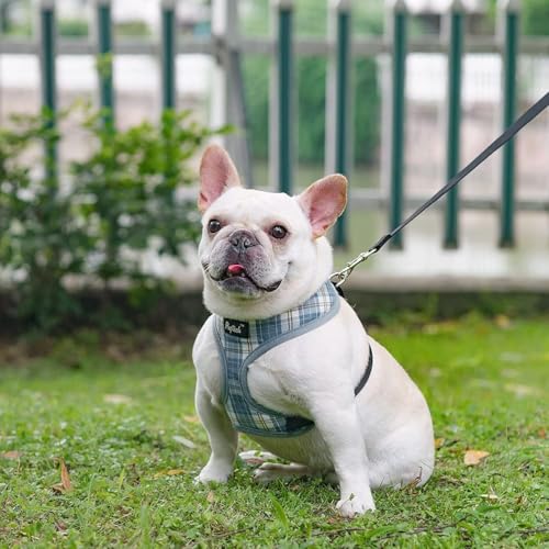 PUPTECK Soft Mesh Dog Harness and Leash Set Pet Puppy Cat Comfort Padded Vest No Pull Harnesses, Sky Blue, S - color: Sky Blue, size: S (NECK: 12", CHEST: 14"-18")