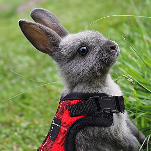 2 Pieces Guinea Pig Harness and Leash with Safety Bell Adjustable Hamster Ferret Harness and Leash Set No Pulling Walking Vest for Ferret Chinchilla and Similar Small Animals(L, 9-10 Inch Chest) - size: L, 9-10 Inch Chest