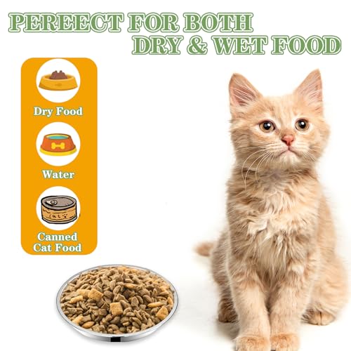 5Packs Cat-Bowls Cat Food Bowl - Thickened 6.2 Inch 304 Stainless Steel Cats Feed Bowl for Indoor Cats Shallow and Wide Whisker Fatigue Relief Pet Feeding Plates for Kitten Puppy Small Dog (5 Packs)