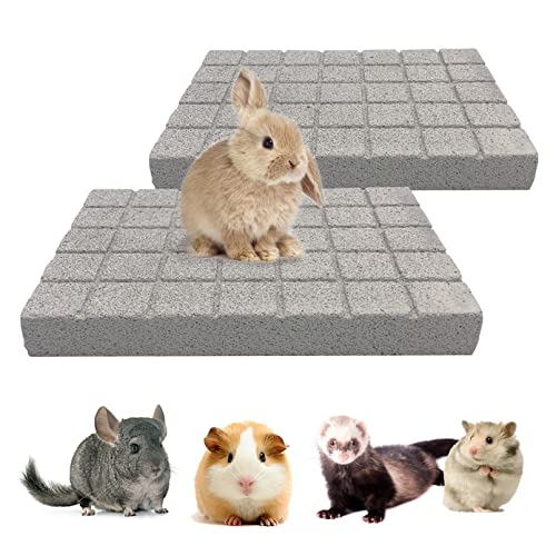 BNOSDM Rabbit Grinding Claw Pads 2Pack Bunny Scratch Foot Pads Natural Hamster Lava Stone for Teeth Grinding White Rabbit Scratching pad Chew Toy for Guinea Pig Ferret Chinchilla Mouse - color: White 2x Large