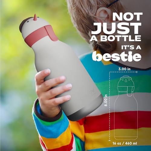 asobu Bestie Water Bottle, Cute Collectible Character, Leak Proof, BPA Free | 16 oz, Stays Cold 24 Hours, Double Wall Vacuum Insulation, Food Grade Stainless Steel, Spill Resistant, Great Gift Idea - color: SNOWMAN