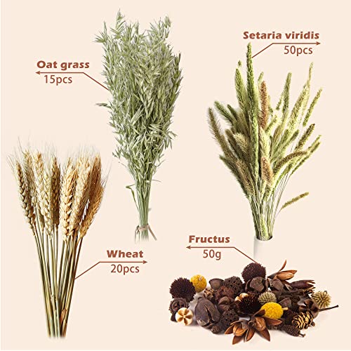 Natural Ear of Grain Flower&Herb Bedding Mate Habitat Decor, Adding Fun Hamster Accessories for Hamsters Gerbils Lemming - color: Wheat