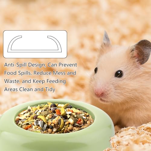 2 Pack Bird Feeder Ceramic Anti-Spill Food Bowl for Bird Parrot Cockatiel Parakeet Conure Finch Rodents Small Animals (Blue and Green)