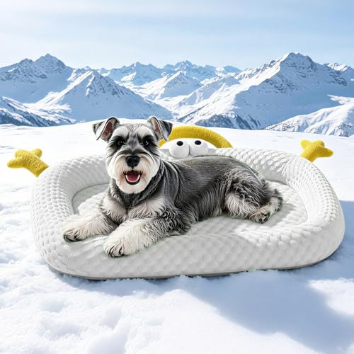 pet Cooling pad, Cute Animal Design, Breathable mesh, Summer Cooling pad (Grey) - color: Grey