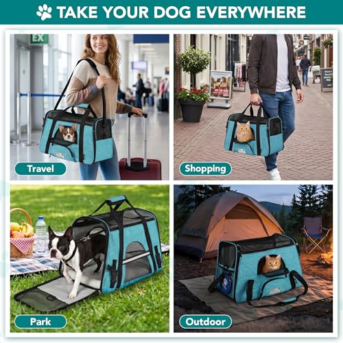 PetAmi Airline Approved Pet Carrier for Cats Small Dogs, Large Heather Blue | Soft Sided TSA Travel Bag, Sherpa Bed, Breathable Mesh Ventilation, Collapsible Bowl, Fits Under Seat, Up to 18 lbs - color: Heather Blue, size: Large - 19.5"L x 10.2"W x 12"H