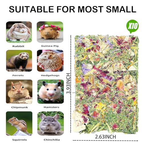 10pcs Rabbit Timothy Hay Chew Toys with Herbal Flowers for Small Pets | Natural hay chips with flowers. Guinea pig hamster chinchilla treats, interactive small pet chew bundle for playtime.