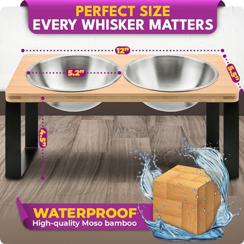 Raised cat Bowls for Indoor Cats by WinTruffles, Elevated cat Bowls, Tilted and Elevated Anti Vomiting Cat Dishes for Food and Water, Set of 2 Stainless Steel Bowl - color: 2 bowls