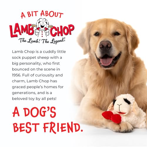 Multipet Lamb Chop Dog Plush Toy - Squeaky Toy for Small & Medium Dogs - Extra Soft Plush - Stuffed Animal for Cuddling & Playing (10", Cream, 5 Squeakers) - size: 10", style: Lambchop