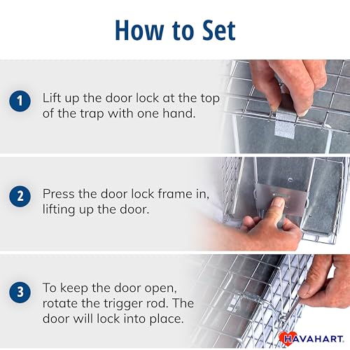 Havahart Medium 1-Door Live Animal Trap, Galvanized Steel Cage | Humane Catch and Release for Rabbit, Skunk, Mink, and Squirrel, Spring-Loaded Door, 1078SR