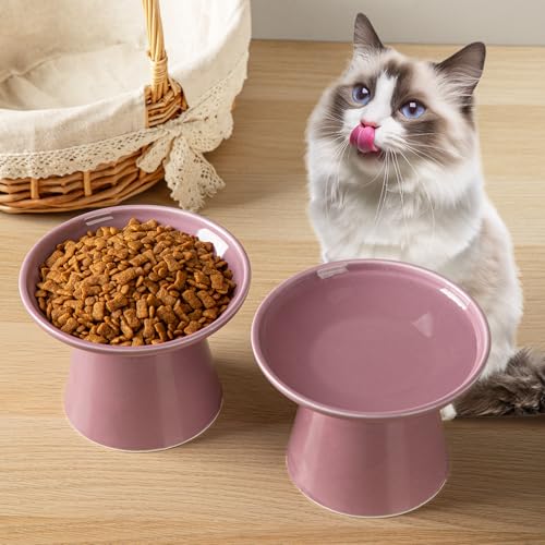 Ceramic Elevated Cat Bowls - 6.2 Inch Extra Wide Raised Cat Food and Water Bowl Set for Indoor Cats, Whisker-Friendly Ceramic Cat Dish for Elder Big Cats & Small Dogs,Dark Purple,2 Pack - color: Dark Purple, size: 2 Pack