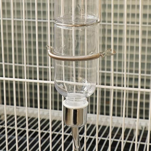 GANPUB Silver Replacement Springs with 2 Clips Stainless Steel 3.1 Inch Spring Fastening Water Drinking Bottle for Rabbit Hamster Water Bottle Spring Clip,Feeding and Watering Supplies