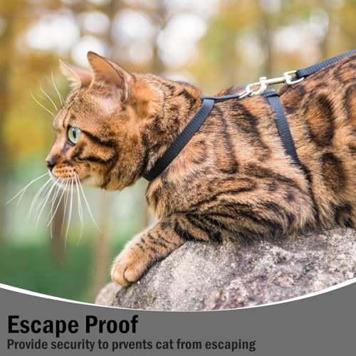 PUPTECK Adjustable Cat Harness and Leash Set Escape Proof Kitten Strap Collar for Walking Travel, Black, M - color: Black, size: Medium
