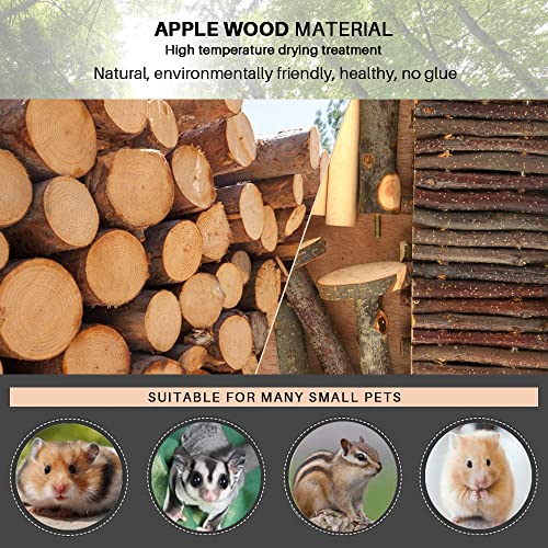 Hamster Climbing Toys,Toys Cage Accessories Two-Tier Hamster Playground Activity Platform with Bridge Natural Apple Wood Chew Toys for Guinea Pig,Gerbils,Chinchillas,Bunny,Rats