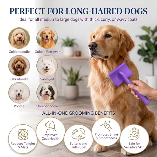 Wooden Long Pin Slicker Brush for Large Dog, Poodles & Doodles Long Hair | Grooming, Fluff & Detangle Heavy Dense Wavy Curly Coats to Easily Prevent Severe Hair Matting During Shedding Seasons - color: Purple