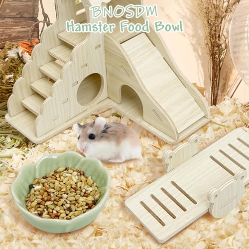 BNOSDM 2 Pcs Hamster Ceramic Food Bowl Flower Series Gerbil Drinking Bowls Anti-Turning Food & Water Dish for Dwarf Syrian Hamsters Gerbil Chinchilla（Green, Narcissus Pattern） - color: Green