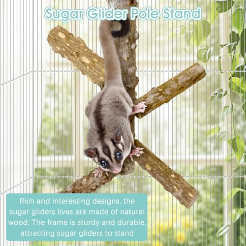 BNOSDM Sugar Glider Toy Natural Prickly Ash Wood Perch Stand Squirrel Hanging Wooden Climbing Pole Hamster Paw Grinding Perch Small Animal Cage Accessories for Chinchillas Rats Gerbil - color: Prickly Ash Wood - Climbing Perch