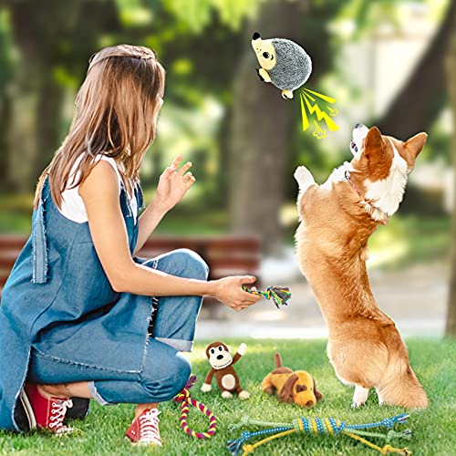 LEGEND SANDY Puppy Toys, Squeaky Dog Toys for Small Dogs, 12 Pack Puppy Chew Toys for Teething, Dog Rope Toy and Cute Stuffed Animals Value Bundle | Tug of War Toy and Cute Stuffed Animals Value Bundle, Gift fot Pet - color: 12 PACK PUPPY TOYS