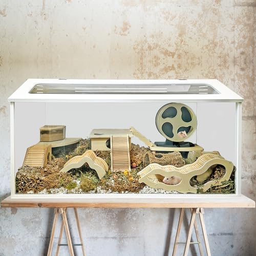 Sahara Cage - Unique & Modern Cage for Hamsters, Gerbils, Degus, Rats, Hedgehogs, Reptiles, and Other Small Animals (Small) - size: Small