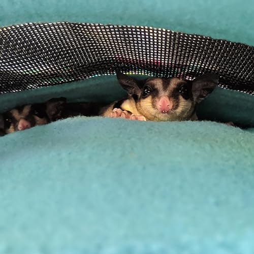 Exotic Nutrition 2 Pack Carry Pouch for Small Animals - Breathable Window, Strong Zipper, Adjustable Strap - Sugar Gliders Hamster Gerbils - color: 2 Pack (Black)