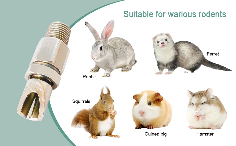 Threaded Stainless Steel Rabbit Nipples Rodent Nipples Waterer Automatic Rabbit Waterer Watering System Animal Supplies Breeding Supplies (Grey, 6) - color: grey, size: 6