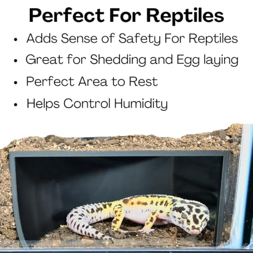 Reptile Corner Underground Cave Viewing Hide | Hognose Snake, Corn Snake & Leopard Gecko Hideout Reptile Habitat Tank Enrichment | Decor Decoration Accessories Supplies Toys Ornaments (Black) - color: Black