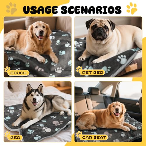 Premium Soft Dog Blanket Washable, 40x32 Inch | Flannel Gray Dog Blanket for Small and Medium Dogs and Indoor Cats