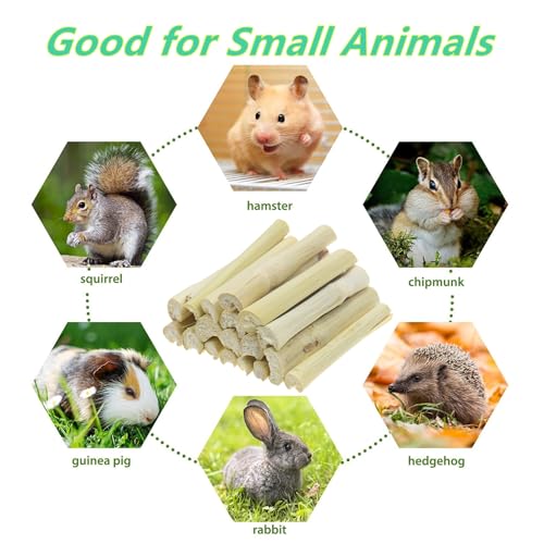 400g Sweet Bamboo Sticks Bunny Chew Natural Hamster Molar Treat - style: 400g (Sweet Bamboo)