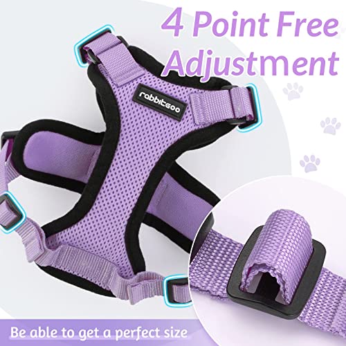 rabbitgoo Cat Harness and Leash Set, Escape Proof Vest, Light Purple | Soft Breathable Mesh, Easy Adjustable Fit, Snap Buckles, Sturdy Clip, Reflective Strips, for Small & Average Cats Walks, Xs - color: Light Purple, size: Xs
