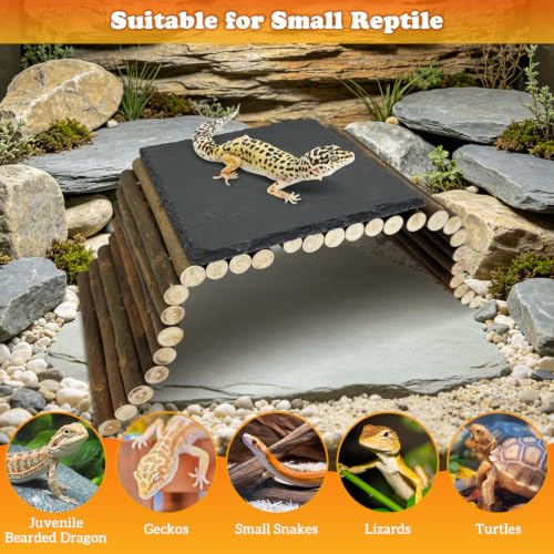 Reptile 15.7x5.9″Bendable Wooden Bridge with 5.9x5.9″Slate Rock Bearded Dragons Basking Platform Set Climbing Hideout Basking Terrace and Hide Cave for Lizard Gecko Flexible Habitat Decor - size: S: 15.7x5.9″Wooden Bridge,5.9x5.9″Slate Rock