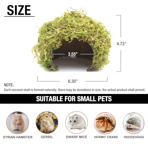 Hamster Hideout - Large, Natural Moss, Handcrafted for Syrian Hamsters, Rats & Guinea Pigs, Safe & Eco-Friendly - size: Cave, Large