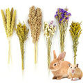 Sukh Natural Hamster Bedding Sprays - Foraging Cage Accessories | Habitat Decor & Enrichment for Dwarf and Syrian Hamsters, Gerbils, Mice and Small Animals Cage Hideout Accessories